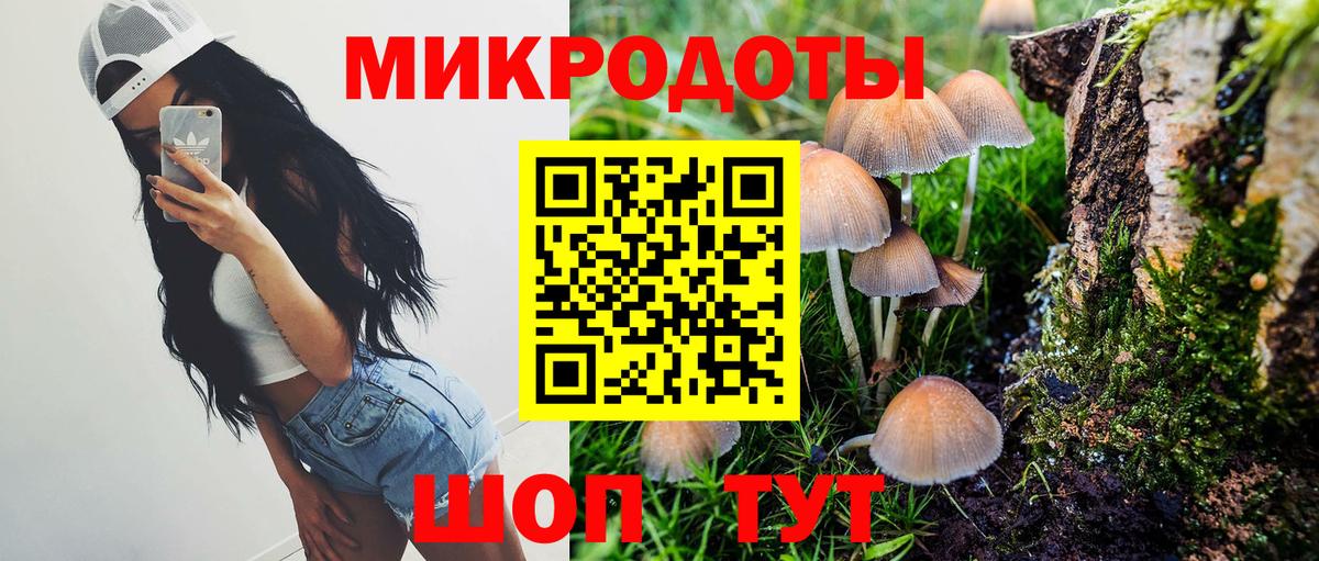 Псилоцибиновые грибы прущие грибы Миллерово